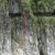 公司旅遊 - 2011 LIYI花東山海戀四日遊相片