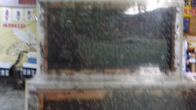 p1020471