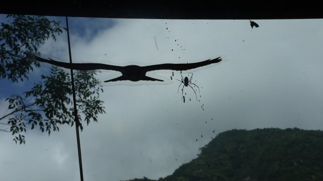 p1020575